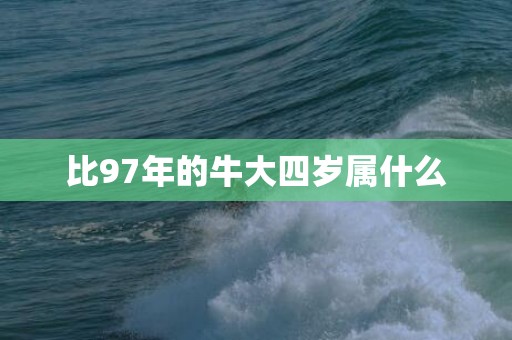 比97年的牛大四岁属什么