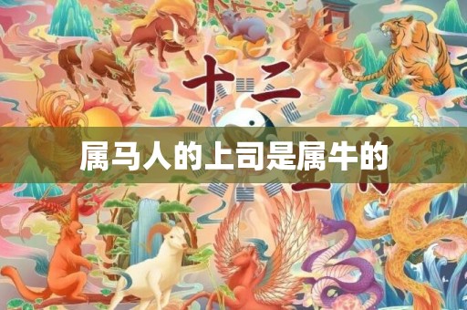 属马人的上司是属牛的