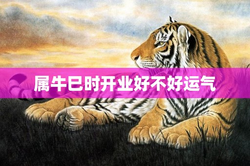 属牛巳时开业好不好运气