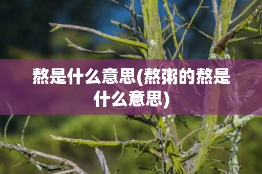 熬是什么意思(熬粥的熬是什么意思)