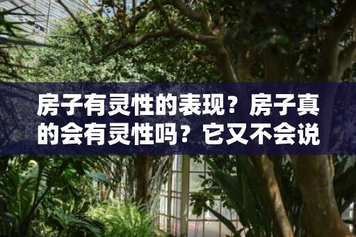 房子有灵性的表现？房子真的会有灵性吗？它又不会说话，怎么可能