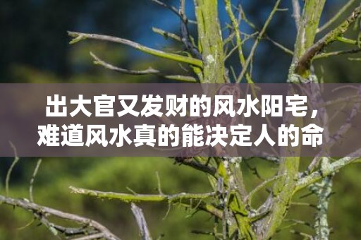 出大官又发财的风水阳宅，难道风水真的能决定人的命运吗？