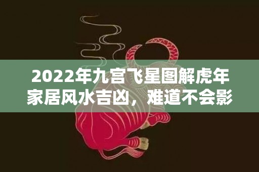 2022年九宫飞星图解虎年家居风水吉凶，难道不会影响运势吗？