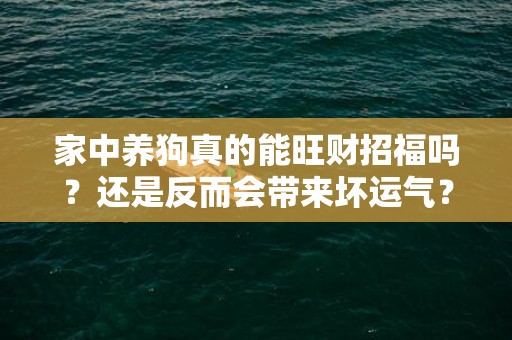 家中养狗真的能旺财招福吗？还是反而会带来坏运气？
