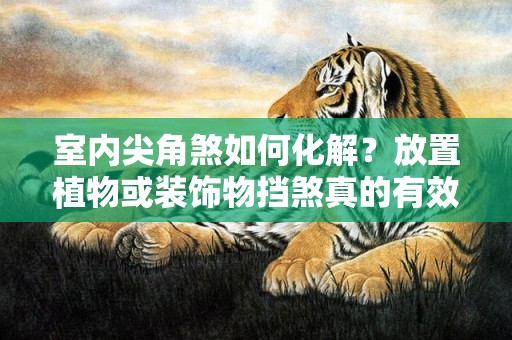 室内尖角煞如何化解？放置植物或装饰物挡煞真的有效吗？