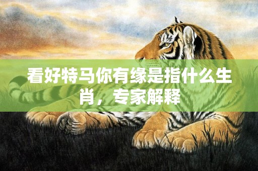 看好特马你有缘是指什么生肖，专家解释