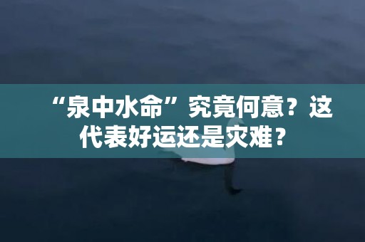 “泉中水命”究竟何意？这代表好运还是灾难？