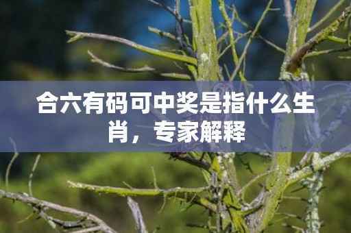 合六有码可中奖是指什么生肖，专家解释
