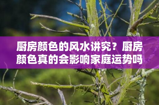 厨房颜色的风水讲究？厨房颜色真的会影响家庭运势吗？