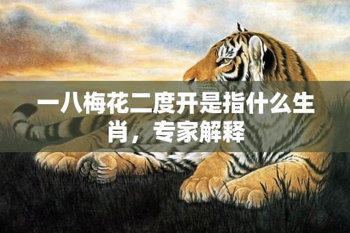 一八梅花二度开是指什么生肖，专家解释