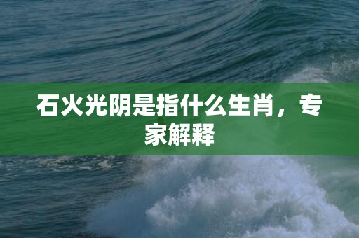 石火光阴是指什么生肖，专家解释