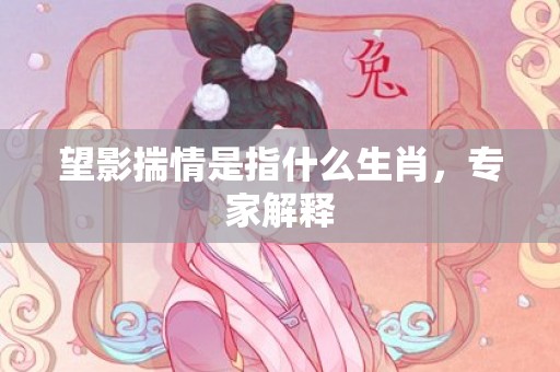 望影揣情是指什么生肖，专家解释