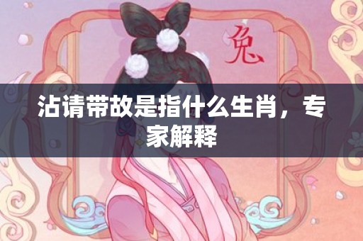 沾请带故是指什么生肖，专家解释