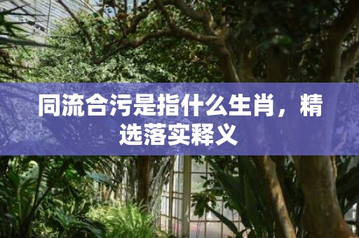 同流合污是指什么生肖，精选落实释义