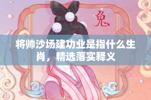 将帅沙场建功业是指什么生肖，精选落实释义