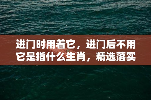 进门时用着它，进门后不用它是指什么生肖，精选落实释义