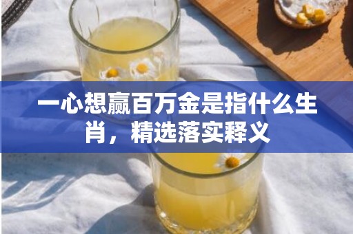 一心想赢百万金是指什么生肖，精选落实释义
