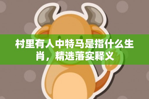 村里有人中特马是指什么生肖，精选落实释义
