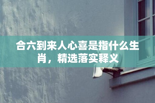 合六到来人心喜是指什么生肖，精选落实释义