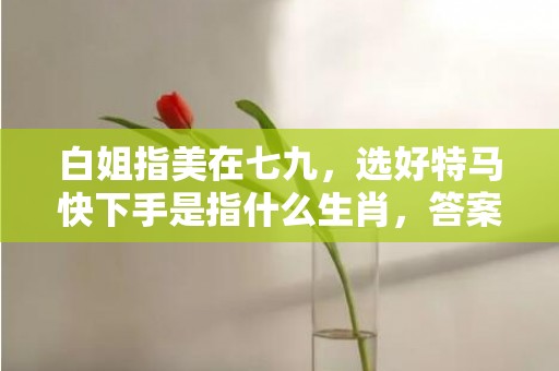 白姐指美在七九，选好特马快下手是指什么生肖，答案落实