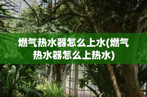 燃气热水器怎么上水(燃气热水器怎么上热水)