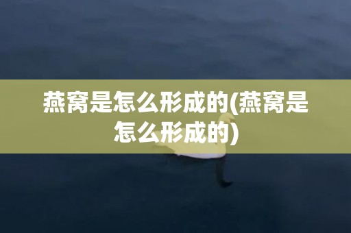燕窝是怎么形成的(燕窝是怎么形成的)