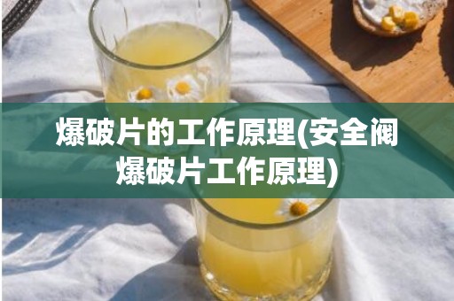 爆破片的工作原理(安全阀爆破片工作原理)