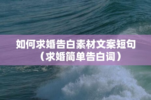 如何求婚告白素材文案短句（求婚简单告白词）
