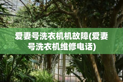 爱妻号洗衣机机故障(爱妻号洗衣机维修电话)