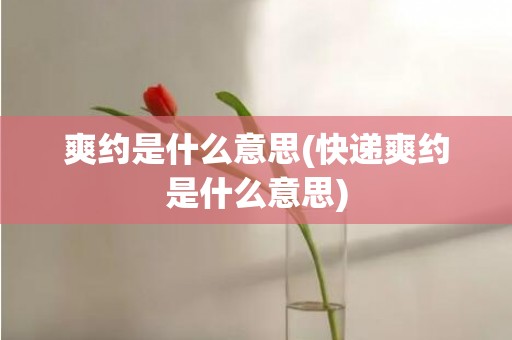 爽约是什么意思(快递爽约是什么意思)