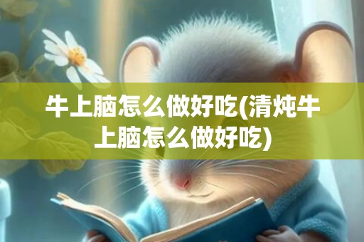 牛上脑怎么做好吃(清炖牛上脑怎么做好吃)
