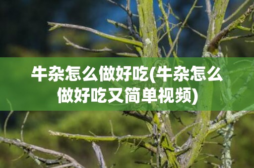 牛杂怎么做好吃(牛杂怎么做好吃又简单视频)