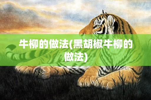 牛柳的做法(黑胡椒牛柳的做法)