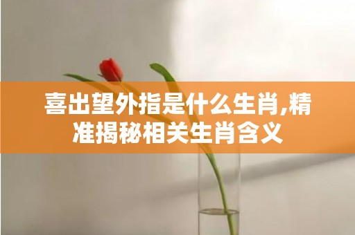 喜出望外指是什么生肖,精准揭秘相关生肖含义