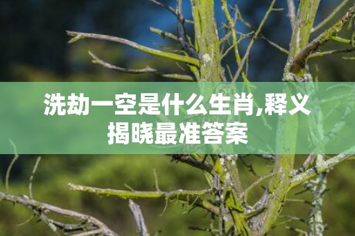 洗劫一空是什么生肖,释义揭晓最准答案