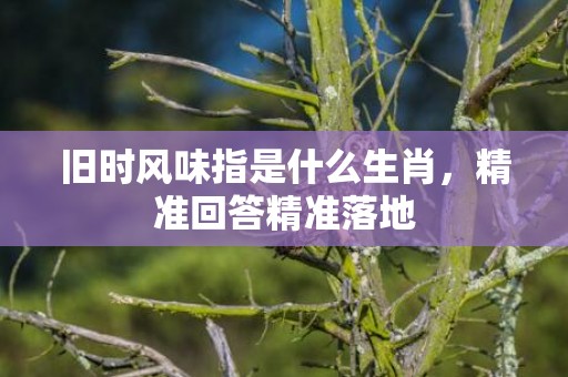 旧时风味指是什么生肖，精准回答精准落地