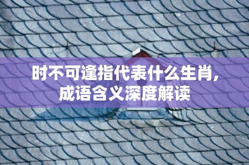 时不可逢指代表什么生肖,成语含义深度解读