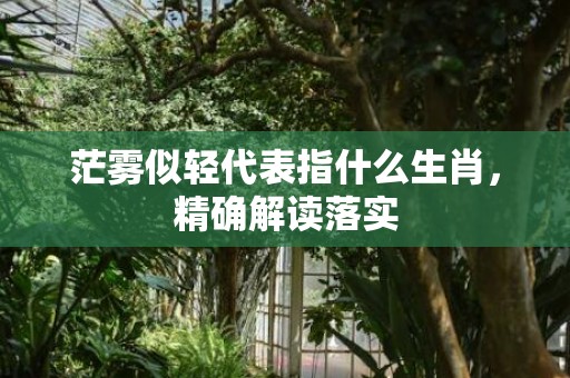 茫雾似轻代表指什么生肖，精确解读落实