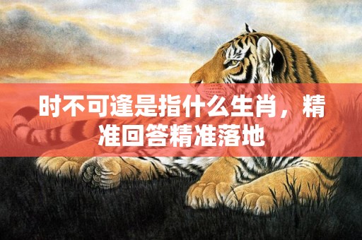 时不可逢是指什么生肖，精准回答精准落地