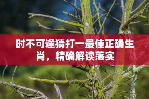 时不可逢猜打一最佳正确生肖，精确解读落实