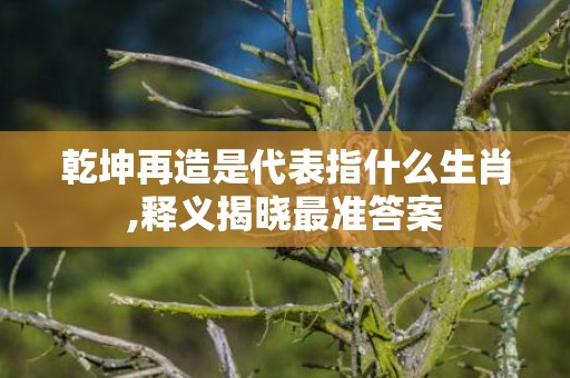 乾坤再造是代表指什么生肖,释义揭晓最准答案