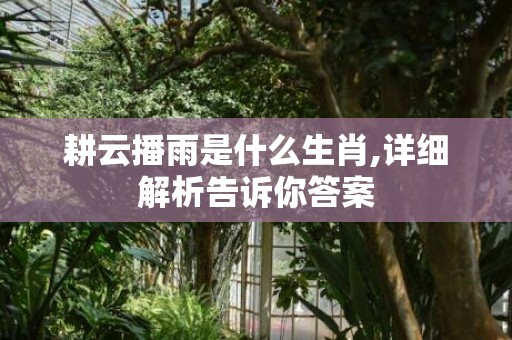 耕云播雨是什么生肖,详细解析告诉你答案