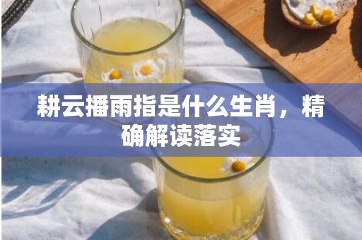 耕云播雨指是什么生肖，精确解读落实