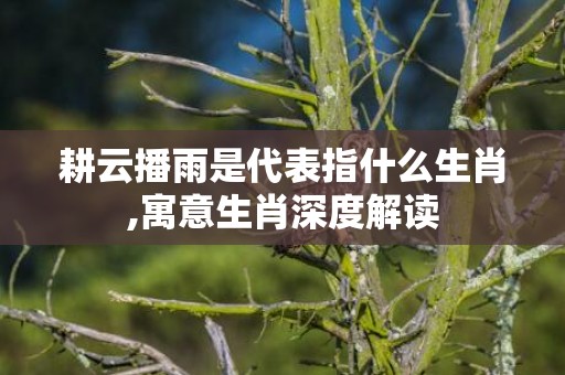 耕云播雨是代表指什么生肖,寓意生肖深度解读