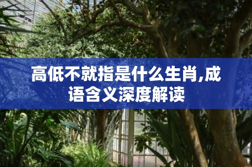 高低不就指是什么生肖,成语含义深度解读