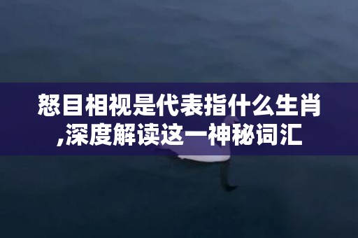 怒目相视是代表指什么生肖,深度解读这一神秘词汇