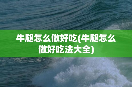 牛腿怎么做好吃(牛腿怎么做好吃法大全)