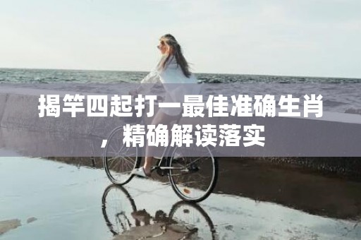 揭竿四起打一最佳准确生肖，精确解读落实