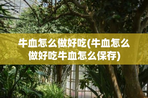牛血怎么做好吃(牛血怎么做好吃牛血怎么保存)