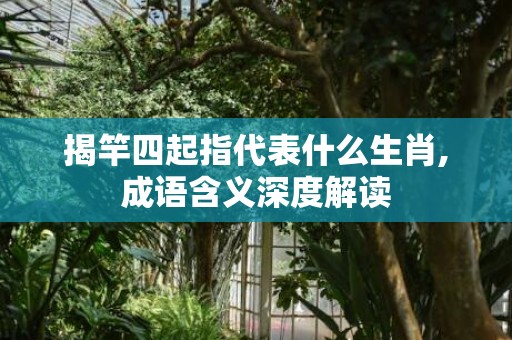 揭竿四起指代表什么生肖,成语含义深度解读